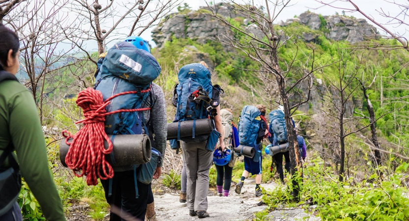 A group of backpackers hike through a wooded area 